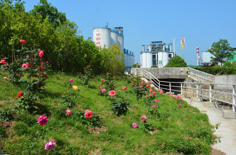 AG8亚洲国际游戏集团_首页官网
